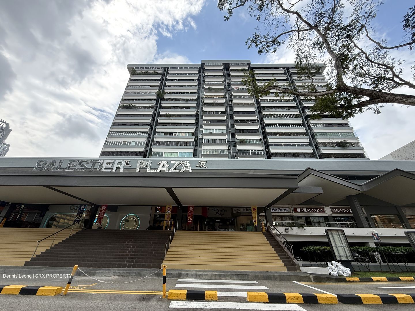 Balestier Plaza (D12), Apartment #598293601